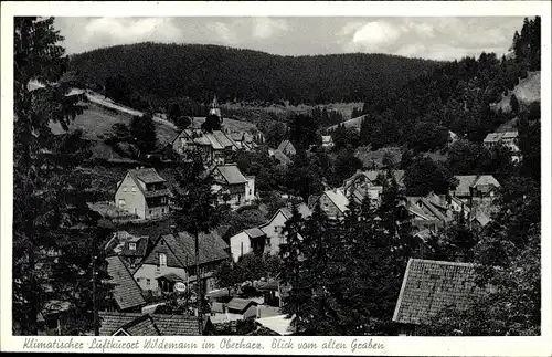 Ak Wildemann Clausthal Zellerfeld im Oberharz, Blick vom alten Graben