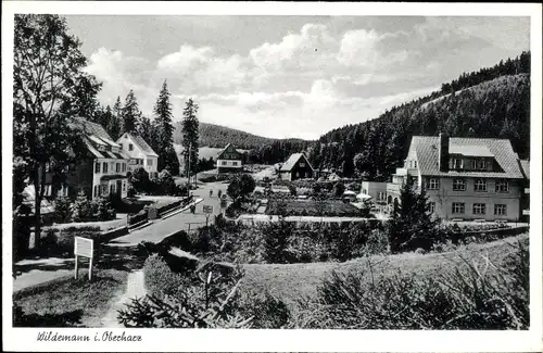 Ak Wildemann Clausthal Zellerfeld im Oberharz, Teilansicht