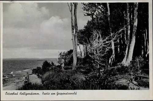 Ak Seebad Heiligendamm Bad Doberan, Partie am Gespensterwald