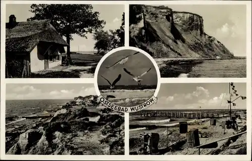 Ak Ostseebad Wustrow Fischland, Strandpartie, Reetdachhaus, Steilküste, Möwen