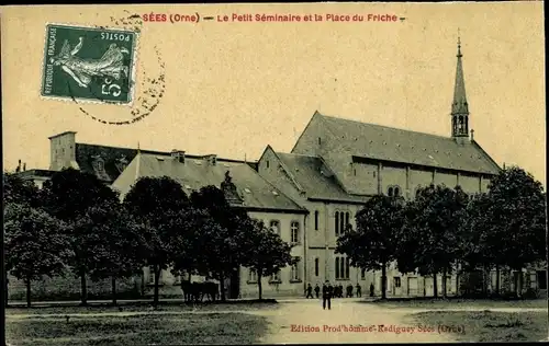 Ak Sées Orne, Le Petit Seminaire et la Place du Friche