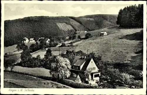 Ak Selbecke Hagen in Westfalen, Blick auf den Ort, Häuser, Felder