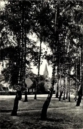 Ak Prieros Heidesee in der Mark, Ortspartie, Birkenwald