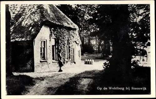 Ak Steenwijk Steenwijkerland Overijssel, Op de Woldberg