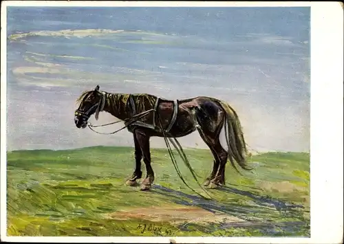 Künstler Ak Alex, A. J., Das einsame Pferd