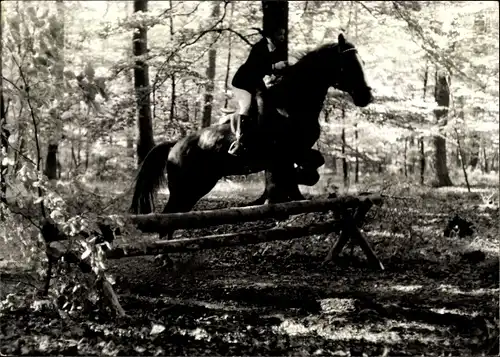 Foto Pferd mit Reiter springt über ein Hindernis, Querfeldeinrennen, Foto Mitschke, Wiesbaden