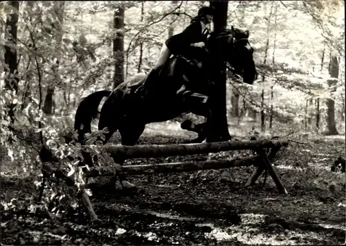 Foto Pferd mit Reiter springt über ein Hindernis, Querfeldeinrennen, Foto Mitschke, Wiesbaden