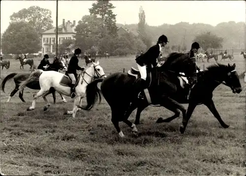 Foto Pferde mit Reitern, Querfeldeinrennen, Foto Mitschke, Wiesbaden