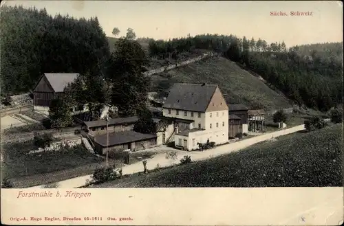 Ak Krippen Bad Schandau Sächsische Schweiz, Forstmühle