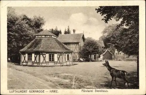 Ak Gernrode Quedlinburg im Harz, Försterei Sternhaus, Reh