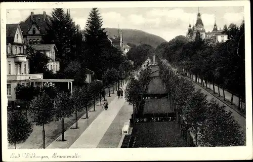 Ak Bad Wildungen in Nordhessen, Brunnen Allee