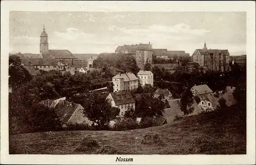 Ak Nossen Sachsen, Blick auf den Ort, Kirche, Wohnhäuser