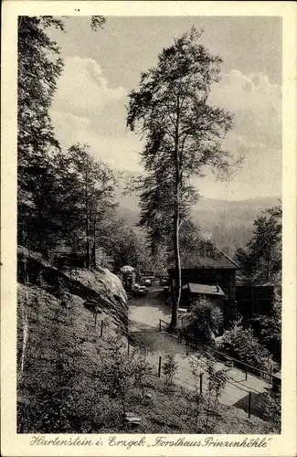 Ak Hartenstein im Erzgebirge Sachsen, Blick zum Forsthaus Prinzenhöhle