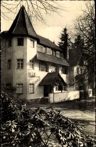 Ak Augustusburg Erzgebirge, Blick zum Waldhaus