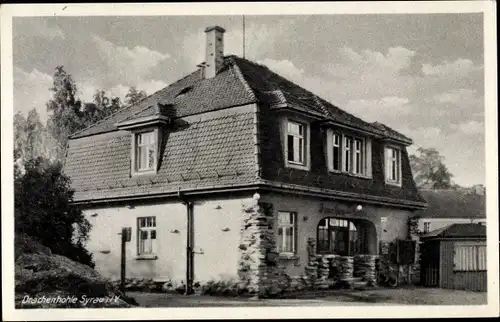 Ak Syrau Rosenbach im Vogtland, Drachenhöhle, Haus