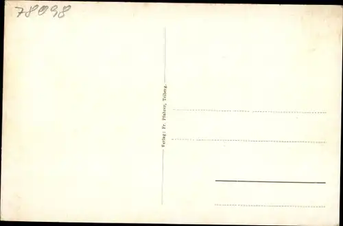 Ak Triberg im Schwarzwald, Schwarzwaldbahn