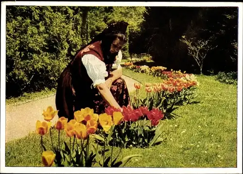Ak Frau in Schwarzwälder Tracht im Stadtpark in Überlingen am Bodensee, Tulpen