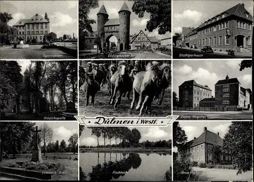 Ak Dülmen in Nordrhein Westfalen, Lüdinghauser Tor, Franz Hospital, Kreuzkapelle, Wildpferde