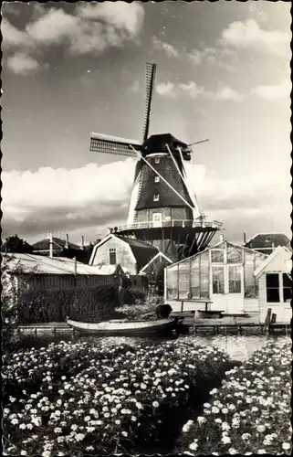 Ak Aalsmeer Nordholland Niederlande, Windkorenmolen De Leeuw