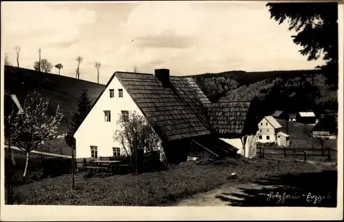 Foto Ak Holzhau Rechenberg Bienenmühle Erzgebirge, Ortspartie, Wohnhäuser