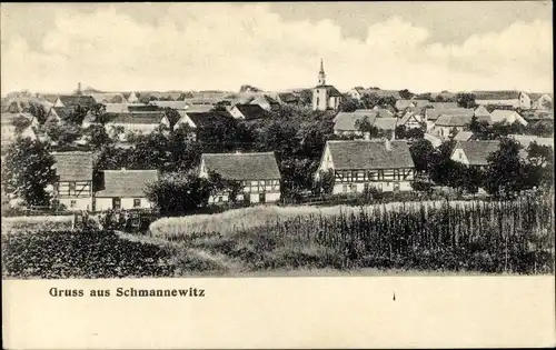 Ak Schmannewitz Dahlen in Sachsen, Panorama