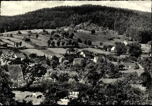 Ak Holzhausen Externsteine Horn Bad Meinberg im Kreis Lippe, Vogeltaufe