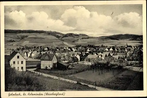 Ak Golmbach in Niedersachsen, Panorama