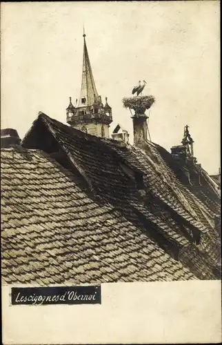 Foto Ak Obernai Oberehnheim Elsass Bas Rhin,Les Cigognes d'Obernai, Störche, Dach, Kirche