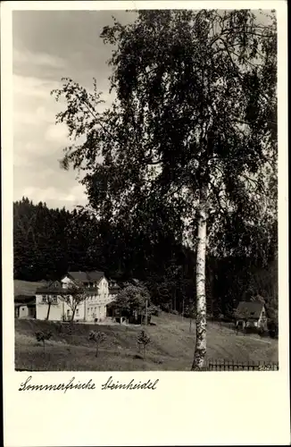 Ak Steinheidel Breitenbrunn im Erzgebirge, Blick auf den Gasthof