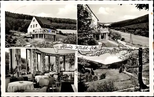 Ak Willingen Waldeck, Cafe Haus Wald Eck, K. Schüssler, Panorama