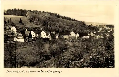 Ak Bienenmühle Erzgebirge, Blick auf den Ort