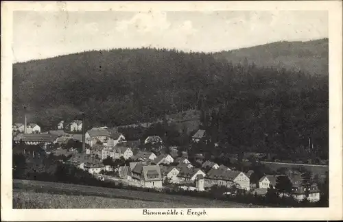 Ak Rechenberg Bienenmühle Erzgebirge, Gesamtansicht, Wald