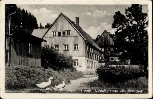 Ak Sayda im Erzgebirge, Jugendherberge Ilja Ehrenburg, Straßenansicht, Gänse