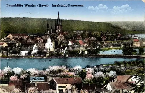 Ak Werder an der Havel, Baumblüten, Inselstadt Panorama