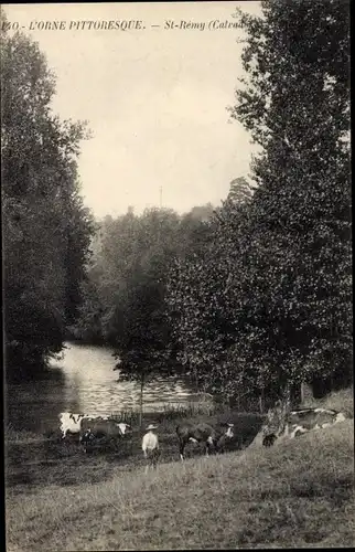 Ak Saint Remy Calvados, Partie am Fluss, Kühe