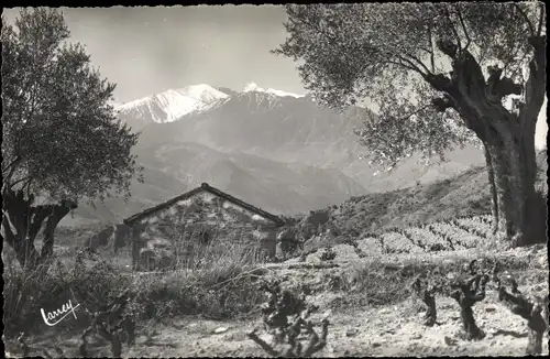 Ak Céret Pyrénées Orientales, Le Canigou