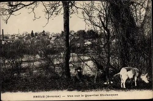 Ak Nesle Somme, Vue sur le Quartier Saint Jacques