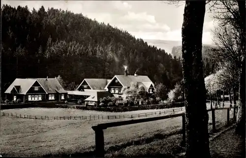 Ak Daun in der Eifel, Das Eifel Heim, Wald