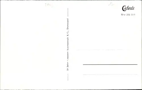 Ak Werdohl im Sauerland, Panorama