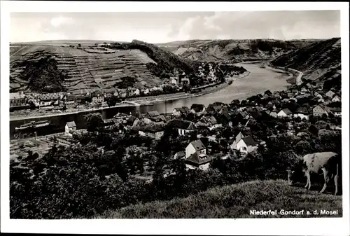 Ak Niederfell Gondorf an der Mosel, Gesamtansicht
