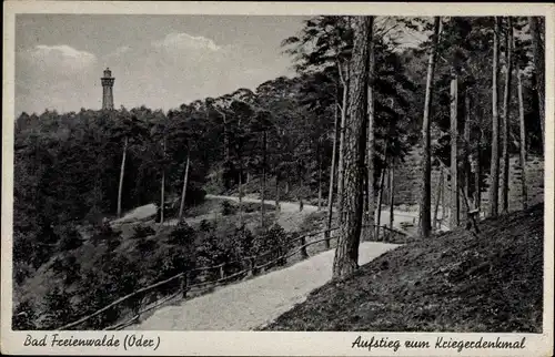 Ak Bad Freienwalde an der Oder, Aufstieg zum Kriegerdenkmal