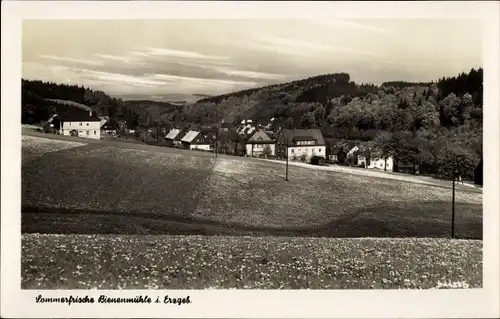 Ak Bienenmühle Erzgebirge, Blick auf den Ort