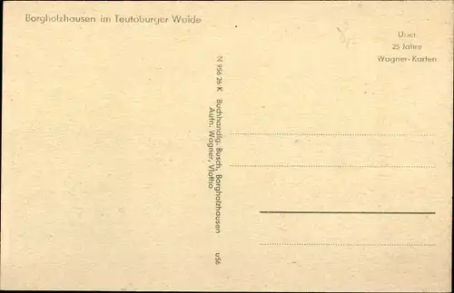 Ak Borgholzhausen in Westfalen, Gesamtansicht