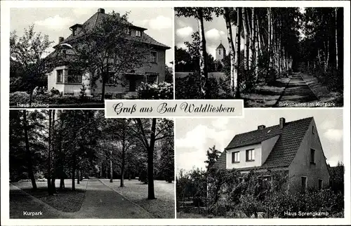 Ak Bad Waldliesborn Lippstadt in Westfalen, Haus Pöhling, Haus Sprengkamp, Kurpark