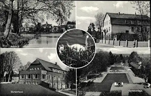 Ak Reinfeld in Holstein, Gartenpartie, Gartenhaus, Rathaus, Kurheim