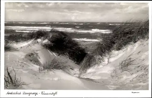 Ak Nordseebad Wangerooge in Ostfriesland, Dünenidyll, Meer