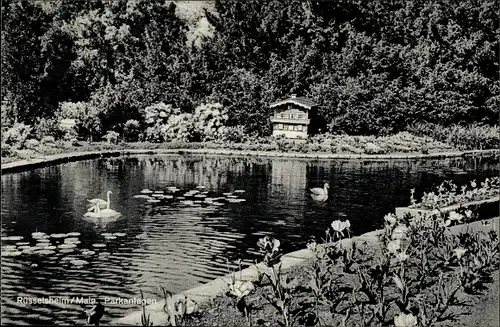 Ak Rüsselsheim am Main Hessen, Parkanlagen