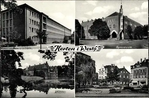 Ak Herten im Ruhrgebiet, Rathaus, Gymnasium, Schloss, Bramhügel