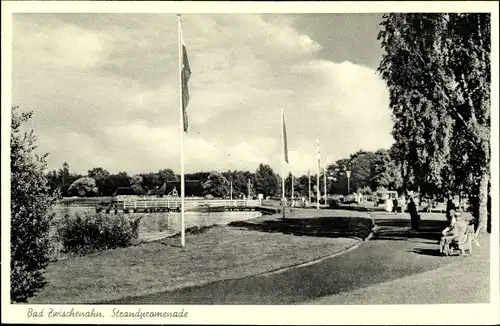 Ak Bad Zwischenahn in Oldenburg, Strandpromenade