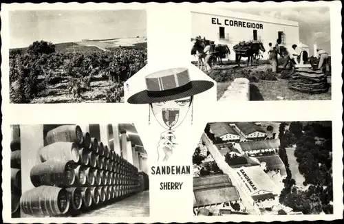 Ak Jerez de la Frontera Andalusien Spanien, Sandeman Sherry, Vineyards and Bodegas, El Corregidor